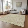 Piper Looms Chantille Floral ACN691 Beige Area Rug