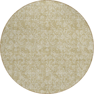 Piper Looms Chantille Floral ACN691 Beige Area Rug