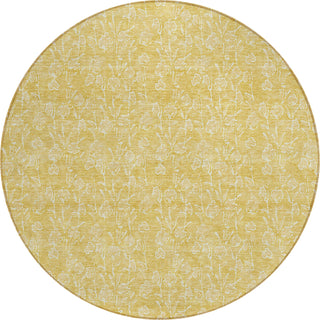 Piper Looms Chantille Floral ACN691 Gold Area Rug