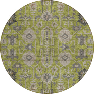 Piper Looms Chantille Oriental ACN697 Olive Area Rug