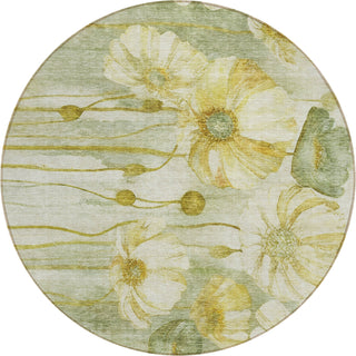 Piper Looms Chantille Floral ACN712 Sage Area Rug