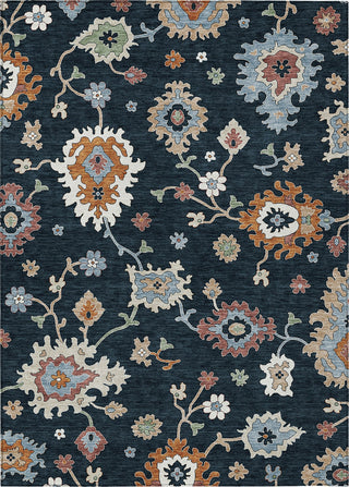 Piper Looms Chantille Oushak ACN753 Black Machine Washable Area Rug main image