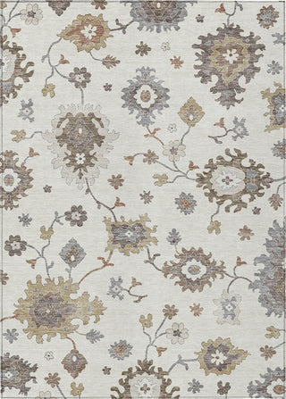 Piper Looms Chantille Oushak ACN753 Ivory Machine Washable Area Rug main image