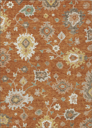 Piper Looms Chantille Oushak ACN753 Paprika Machine Washable Area Rug main image