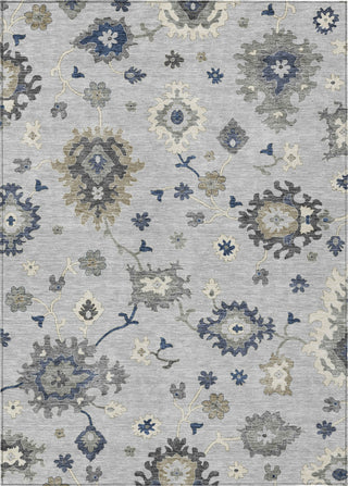 Piper Looms Chantille Oushak ACN753 Silver Machine Washable Area Rug main image