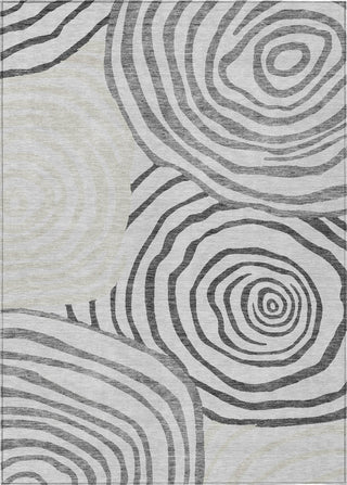 Piper Looms Chantille Swirls ACN765 Gray Machine Washable Area Rug main image