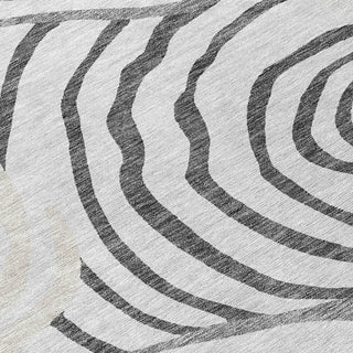 Piper Looms Chantille Swirls ACN765 Gray Machine Washable Area Rug Swatch Image