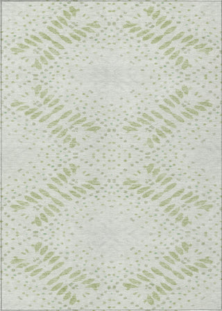 Piper Looms Chantille Floral ACN778 Aloe Machine Washable Area Rug main image