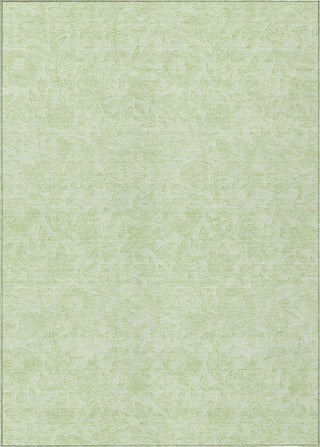 Piper Looms Chantille Floral ACN782 Aloe Machine Washable Area Rug main image