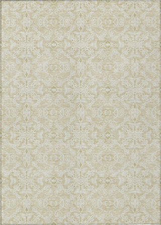 Piper Looms Chantille Medallions ACN784 Tan Machine Washable Area Rug main image