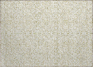 Piper Looms Chantille Medallions ACN784 Tan Machine Washable Area Rug Scatter Main Image