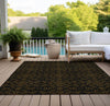 Piper Looms Chantille Medallions ACN785 Brown Machine Washable Area Rug Outdoor Lifestyle Image Feature