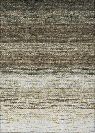 Piper Looms Chantille Lines ACN786 Brown Machine Washable Area Rug main image