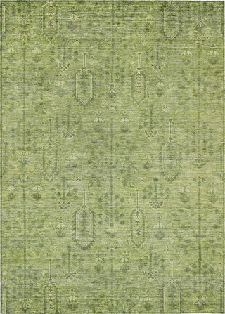 Piper Looms Chantille Southwest ACN790 Sage Machine Washable Area Rug main image