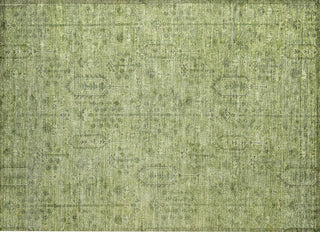 Piper Looms Chantille Southwest ACN790 Sage Machine Washable Area Rug Scatter Main Image