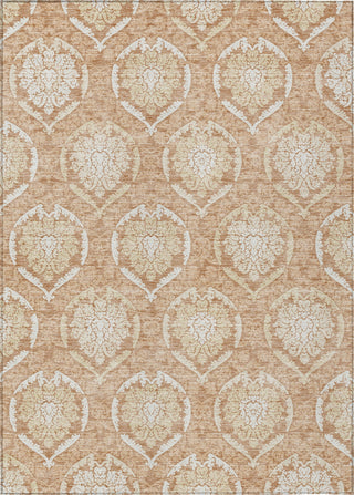 Piper Looms Chantille Medallions ACN810 Salmon Machine Washable Area Rug main image