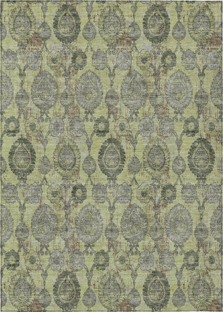 Piper Looms Chantille Damask ACN821 Aloe Machine Washable Area Rug main image