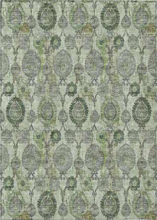 Piper Looms Chantille Damask ACN821 Green Machine Washable Area Rug main image