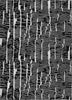 Piper Looms Chantille Lines ACN830 Black Machine Washable Area Rug main image