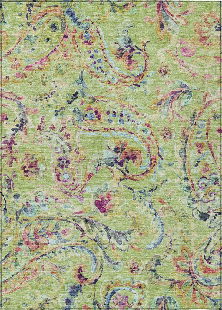 Piper Looms Chantille Paisley ACN834 Aloe Machine Washable Area Rug main image