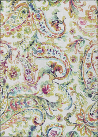 Piper Looms Chantille Paisley ACN834 Ivory Machine Washable Area Rug main image