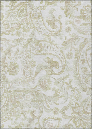 Piper Looms Chantille Paisley ACN835 Beige Machine Washable Area Rug main image