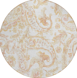 Piper Looms Chantille Paisley ACN835 Coral Machine Washable Area Rug Round Main Image