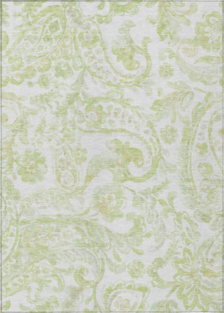 Piper Looms Chantille Paisley ACN835 Sage Machine Washable Area Rug main image