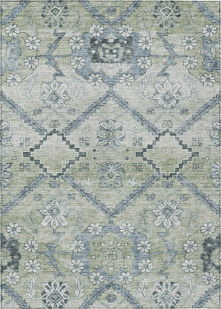 Piper Looms Chantille Floral ACN841 Aloe Machine Washable Area Rug main image