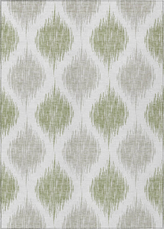 Piper Looms Chantille Ikat ACN848 Aloe Machine Washable Area Rug main image