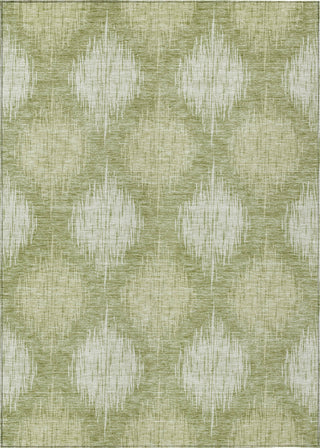 Piper Looms Chantille Ikat ACN849 Aloe Machine Washable Area Rug main image