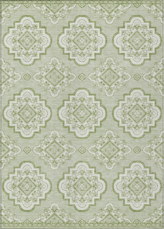 Piper Looms Chantille Medallions ACN878 Aloe Machine Washable Area Rug main image