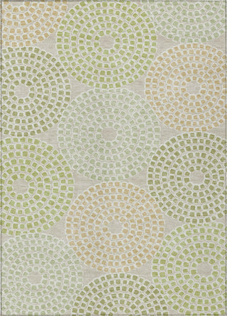 Piper Looms Chantille Circles ACN882 Aloe Machine Washable Area Rug main image