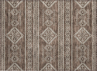 Piper Looms Chantille Southwest ACN901 Brown Machine Washable Area Rug Scatter Main Image