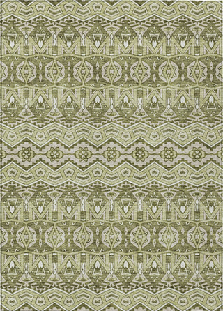 Piper Looms Chantille Moroccan ACN909 Aloe Machine Washable Area Rug main image