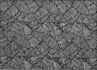 Piper Looms Chantille Floral ACN913 Black Machine Washable Area Rug Scatter Main Image
