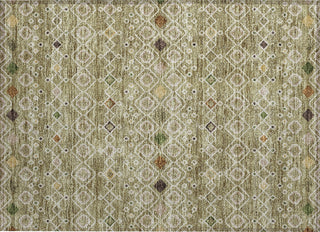 Piper Looms Chantille Southwest ACN938 Sage Machine Washable Area Rug Scatter Main Image