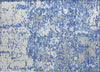 Piper Looms Chantille Abstract ACN946 Blue Machine Washable Area Rug Scatter Main Image