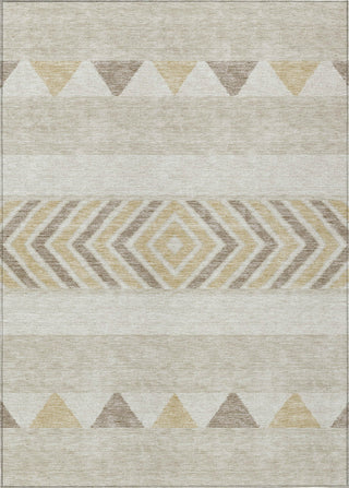 Piper Looms Chantille Southwest ACN965 Beige Machine Washable Area Rug main image