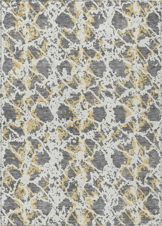 Piper Looms Chantille Abstract ACN969 Gray Machine Washable Area Rug main image