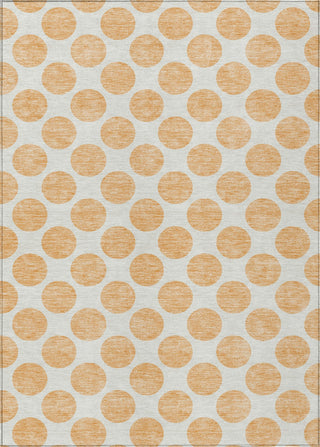Piper Looms Chantille Circles ACN980 Peach Machine Washable Area Rug main image