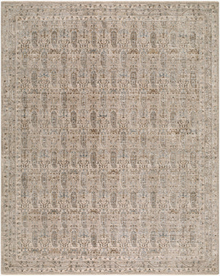Livabliss Arda ACZ-2310 Area Rug main image