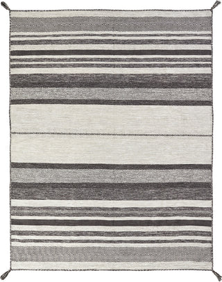 K2 Andes AD-622 Canyon Graphite Area Rug