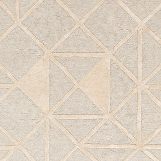 Surya Addison ADD-2302 Area Rug Swatch