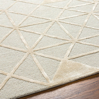 Surya Addison ADD-2302 Area Rug Detail