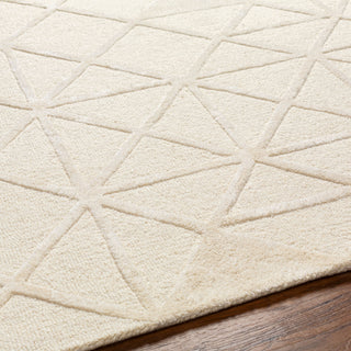 Surya Addison ADD-2303 Area Rug Detail