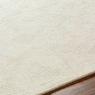 Surya Addison ADD-2305 Area Rug Detail