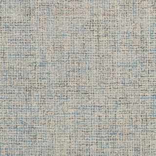 Surya Aiden AEN-1001 Area Rug Swatch