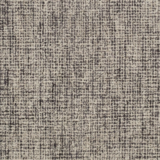 Surya Aiden AEN-1002 Area Rug Swatch