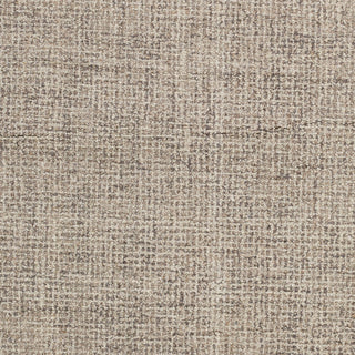 Surya Aiden AEN-1005 Area Rug Swatch